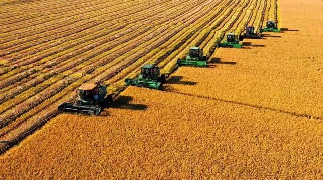 T 350糧食重金屬檢測儀介紹