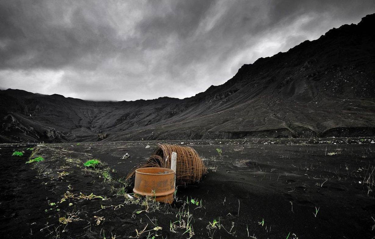 解決方案 | A650煤灰成分分析儀在煤灰檢測方面的應(yīng)用優(yōu)勢