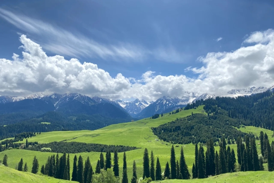 1679636475.png 640 (7).png