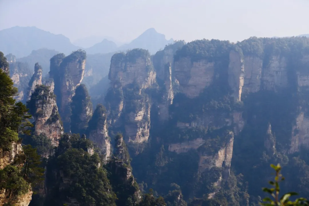 1730855510.png 640.webp (27).png