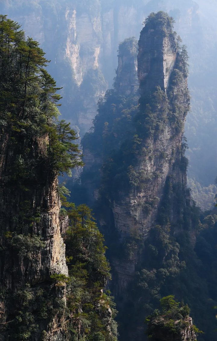 1730855779.png 9.png